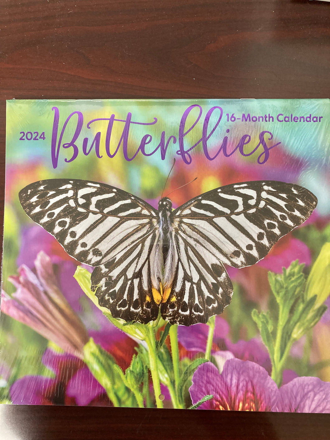 2024 16 Month Calendar Butterflies