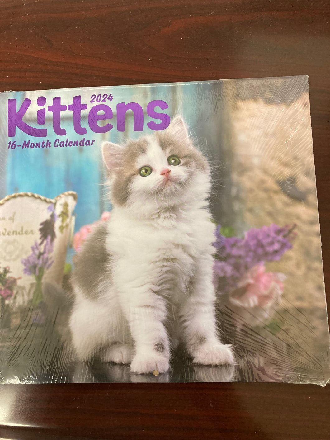 2024 16 Month Calendar Kittens