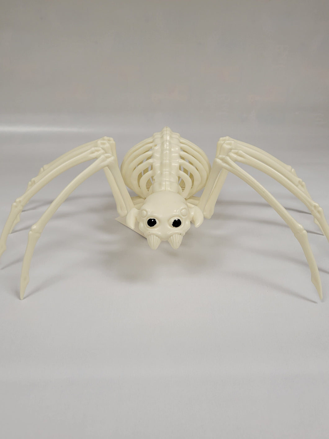 Jumbo Spider Skeleton