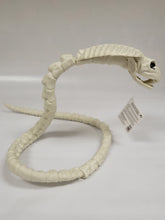 Load image into Gallery viewer, Snake skeleton 36&quot; long posable
